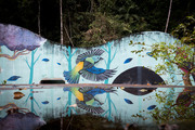 Image test from Omeka S (1)